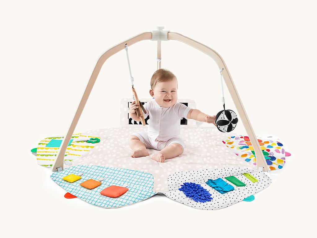 The Play Gym