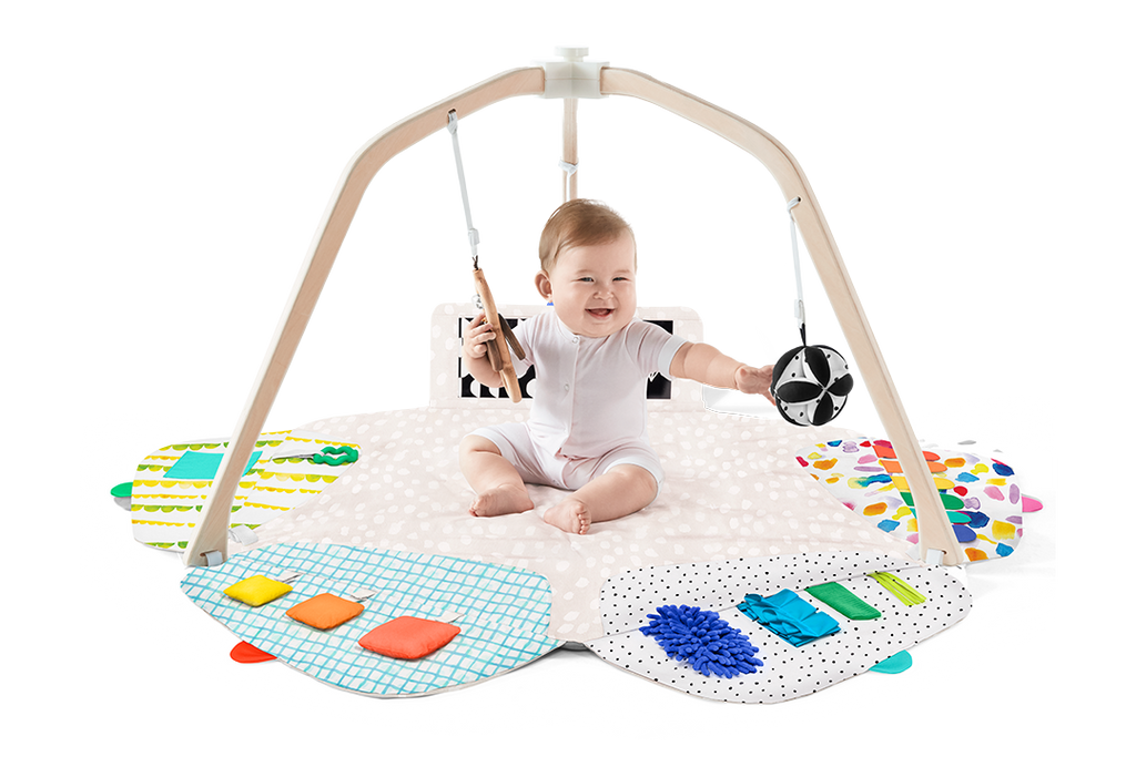 The Play Gym