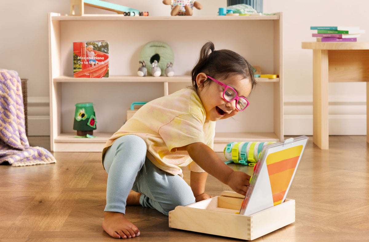 The Montessori Playshelf