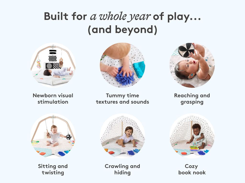 The Play Gym