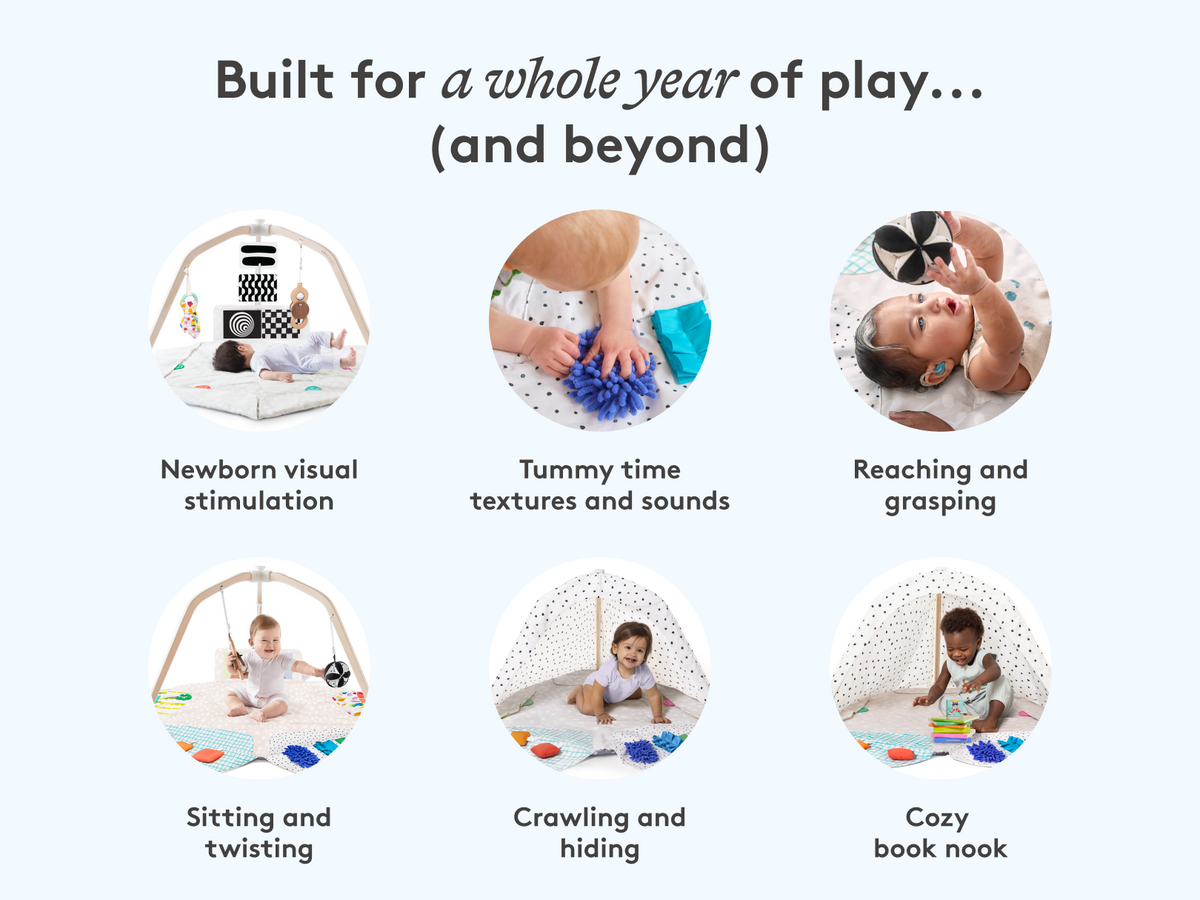 The Play Gym
