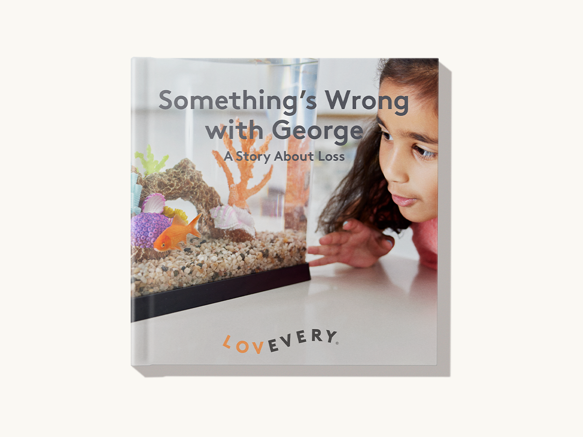 'Something's Wrong with George' Book