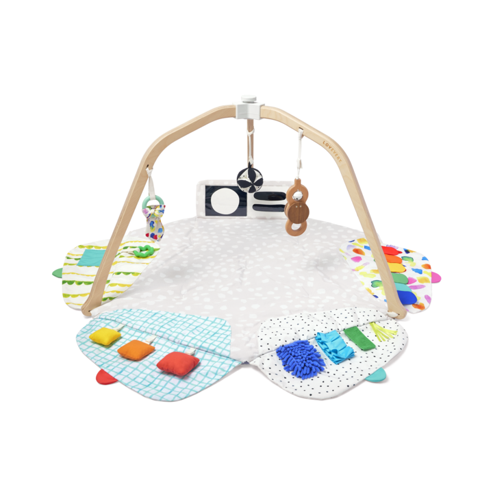 The Play Gym