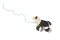 The Pull Pup